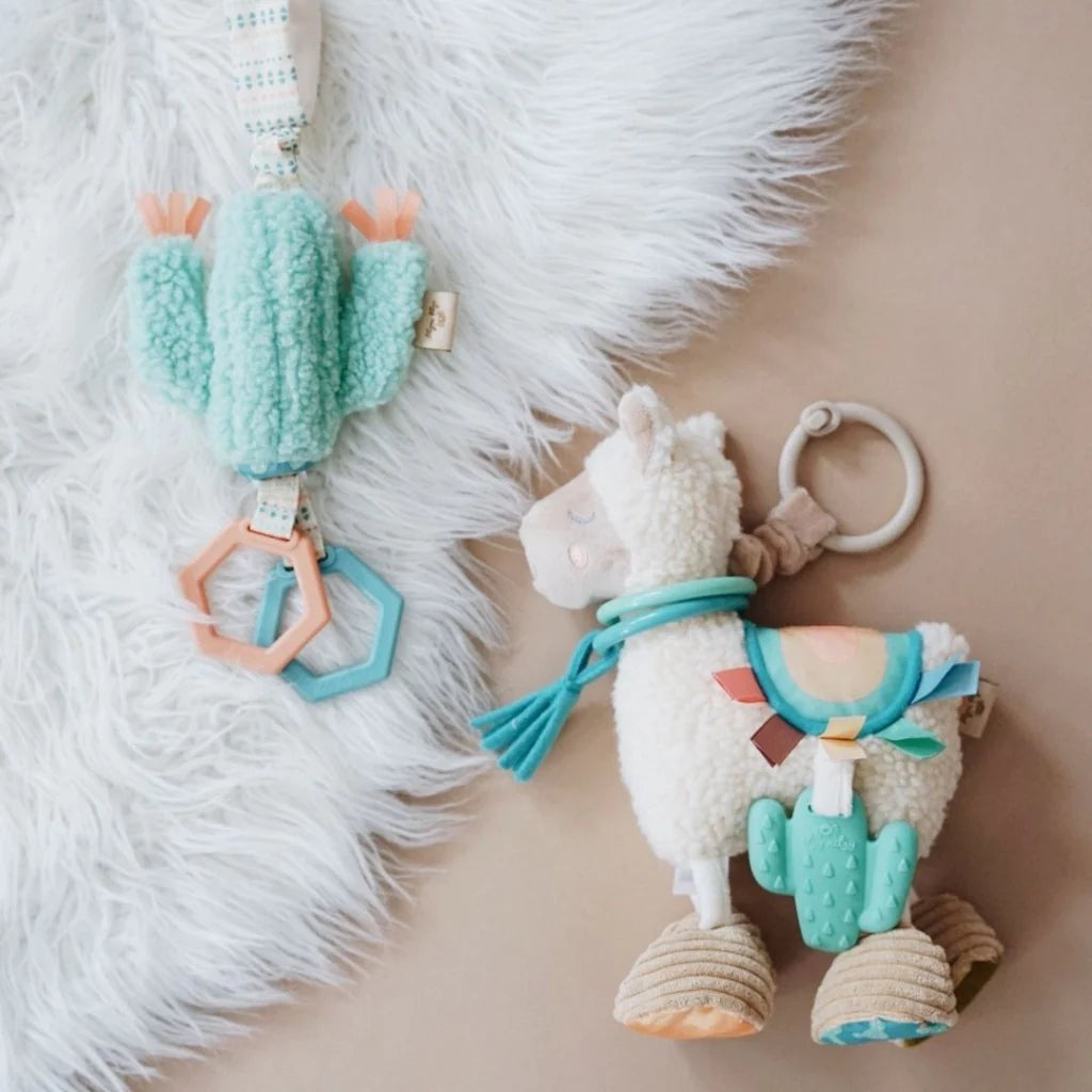 Ritzy Jingle Travel Toy-Cactus
